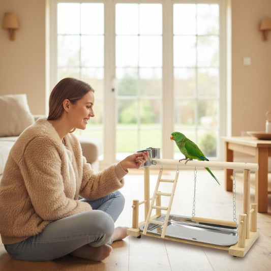 Bird Perch Stand with Swing